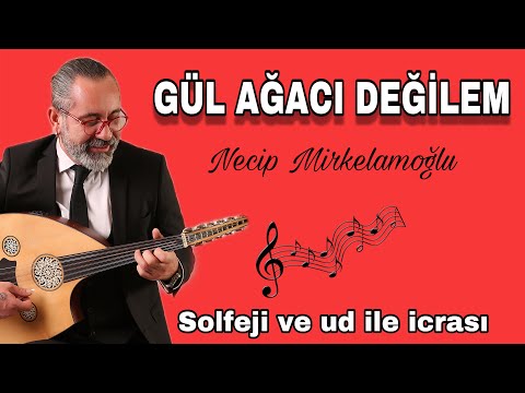 GÜL AĞACI DEĞİLEM - SOLFEJİ VE UD İLE İCRASI - UD DERSİ 234