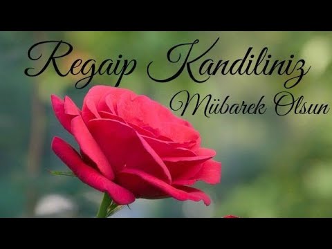 🌹Regaip Kandil Mesajları 🌹Resimli Dualı 2022 En yeni İlahili Regaip Kandili Kutlama Mesajları