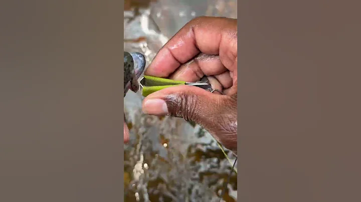 Caught rainbow trout with hook already in its mouth