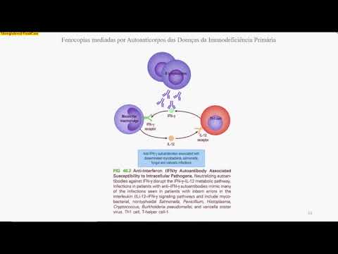 Vídeo: Diferencia Entre Genocopia Y Fenocopia