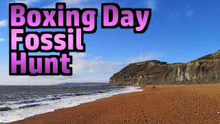Fossil Hunting at Seatown (on Boxing Day)