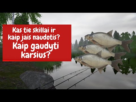 Video: Gaudyti Sidabrinius Karšius