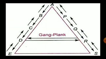 Principle of Scalar Chain || General Principle of Management.
