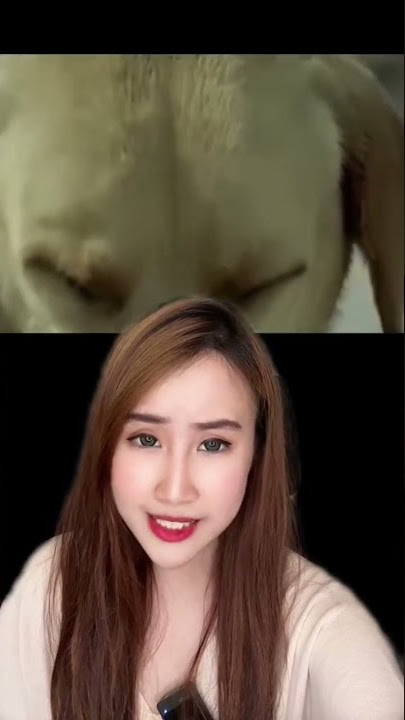 PACAR ANJING DIJIL4T PELAKOR‼️ #shorts #filmpendek