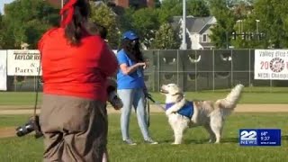 Blue Sox 'Bark in the Park' raises funds for TJO Animals