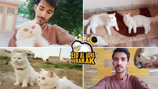 Eid ul Adha Vlog (2023) | Max k mar pad gayi ‍♂| Rehan & Max