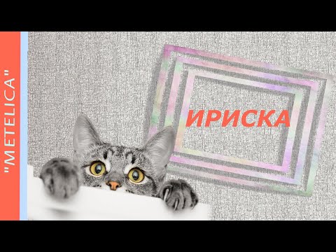 Ириска. Зарисовка о котенке. Toffee. A sketch about a kitten.