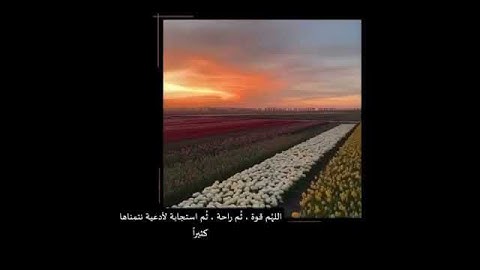 أجمل حالات واتس اب قرآن كريم بصوت جميل جدا Quran status