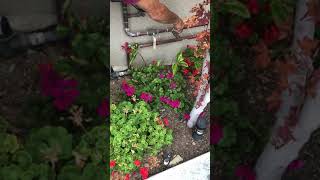 Replacing Pelican whole house filter