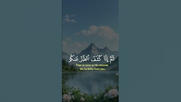 سورة الأحقاف #القران_الكريم #قرآن #قرآن_كريم #قران #قران_كريم #آيات #القرآن_الكريم #قرأن