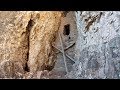 Ancha Cliff Dwelling: Hiking to Cold Spring Ruin (AKA: The Crack House)