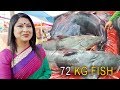 ১ লক্ষ ৪০ হাজার টাকা দামের বাঘাইড় মাছ | 1,40,000 worth of Dwarf goonch fish | Poradaho Fish Fair