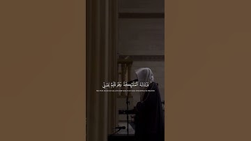من سورة آل عمران || تلاوة خاشعـة🤍🎧