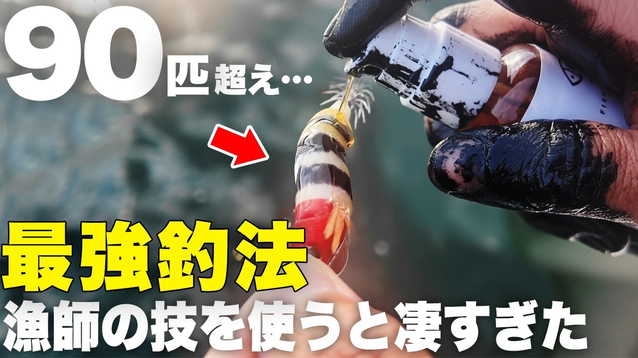 平磯海づり公園』リアルタイム | フィッシングマックス 関西の釣果