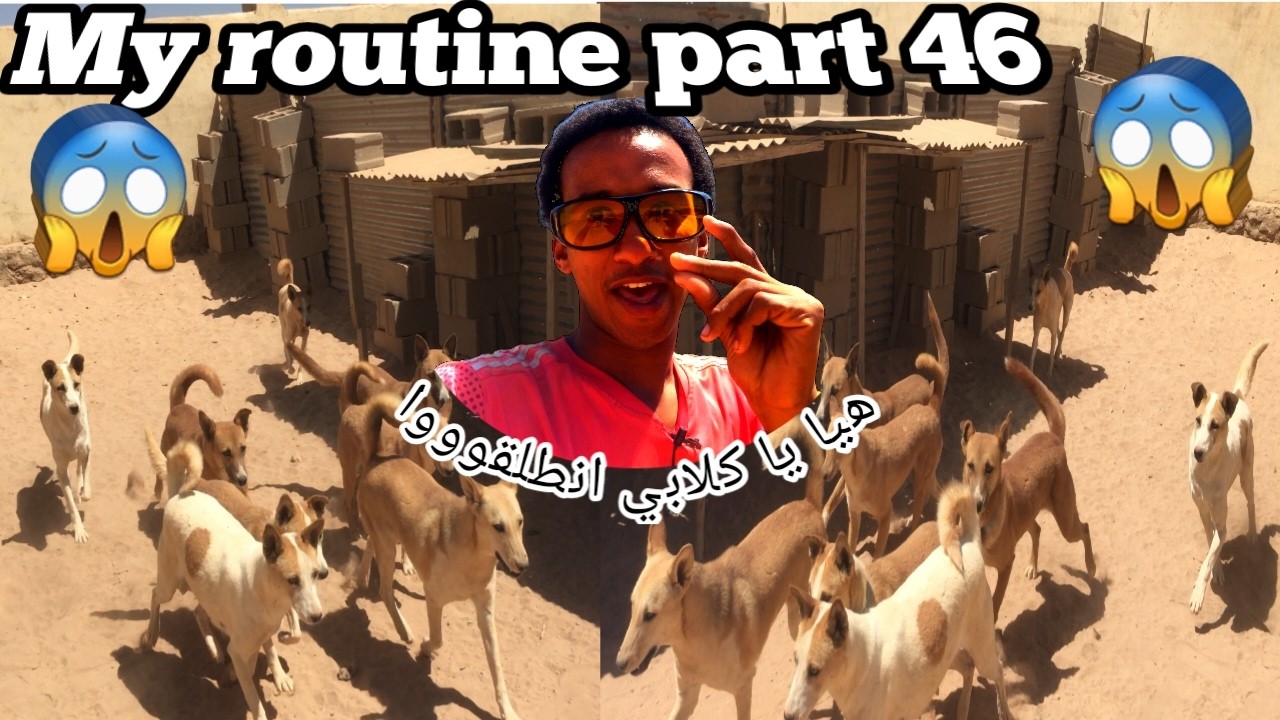 حلقة {46} my routine _ فلوقات | سليماني يآمر كلابه _ ماذا حصل بعد