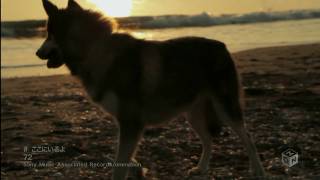 [PV] 72 - Koko ni Iru yo