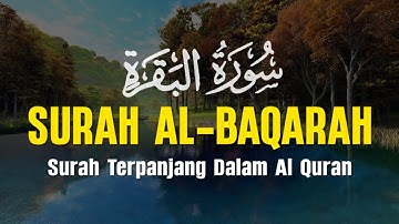 Surah Al Baqarah سورة البقرة With Beautiful Sound Makes the Heart Quiet | Ebrahem Abdel Moneim