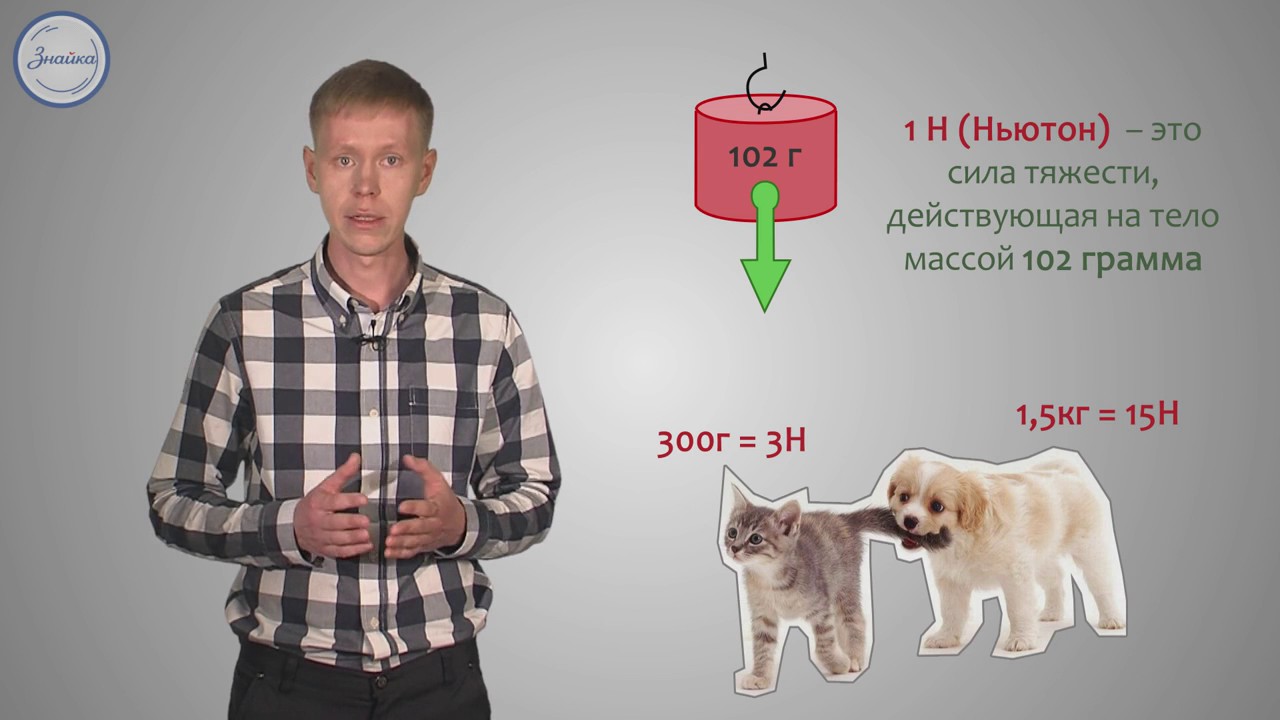 Естествознание 5 Динамометр  Ньютон – единица измерения силы