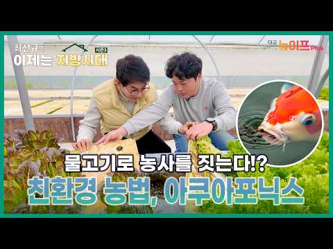 물고기랑 채소를 같이 키운다고요?! 🐟 아쿠아포닉스 농법 #최선규의이제는지방시대3 EP.8ㅣ대교 뉴이프Plus