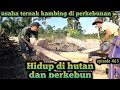 membuat lokasi peternakan kambing di perkebunan warta petani muda hidup di hutan