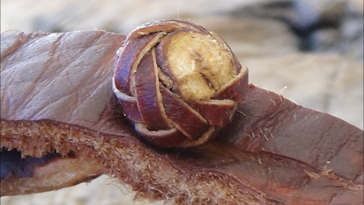 boton postizo con 4 tientos