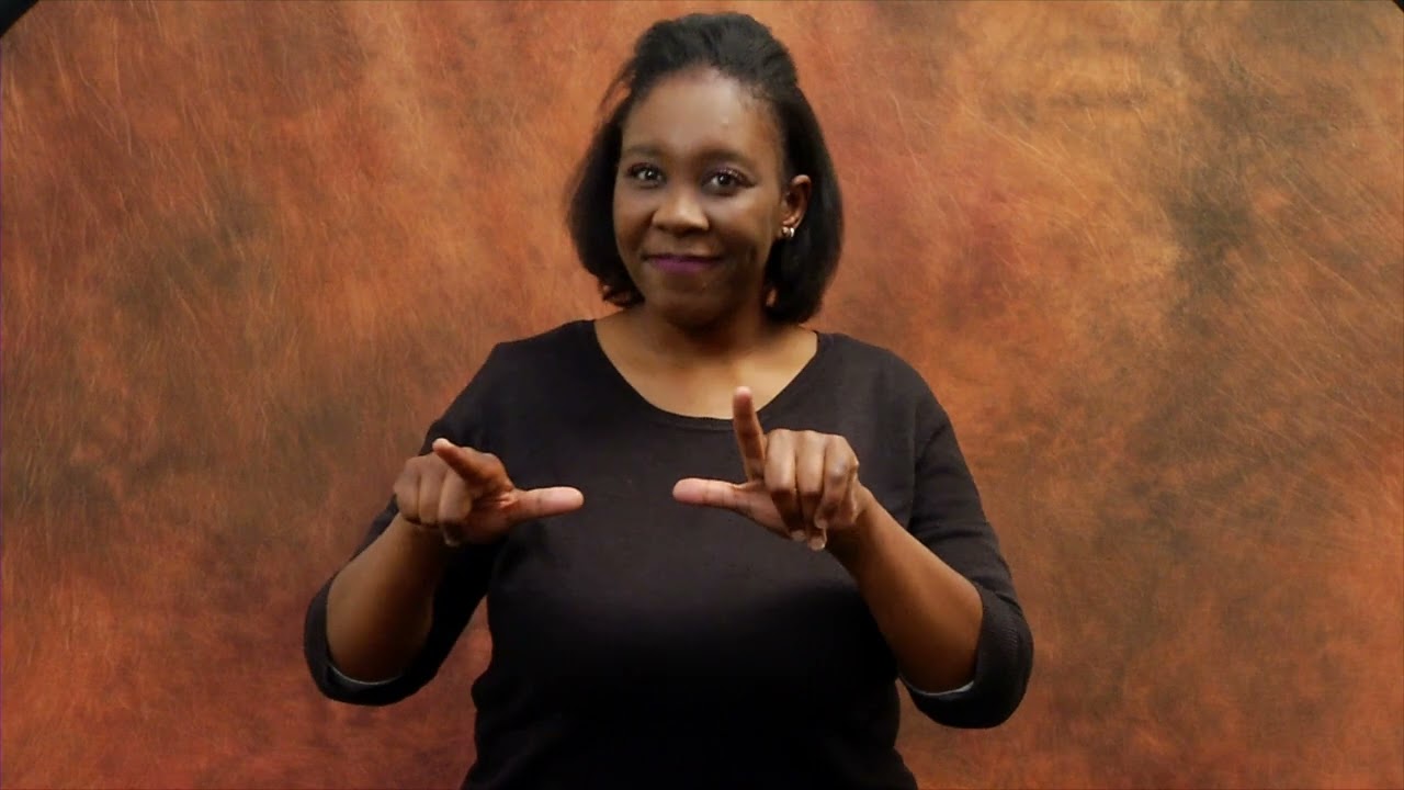 SOUTH AFRICAN SIGN LANGUAGE ENACTED AS THE 12th OFFICIAL LANGUAGE