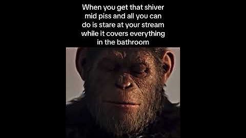 Memes I Stole From Discord