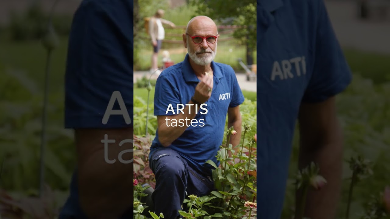 Exploring the many wonders of nature at ARTIS Zoo