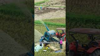 The Agricultural Sector: Causes and Solutions #CarbonCredit #CarbonCredit #TGO #TGO #shorts
