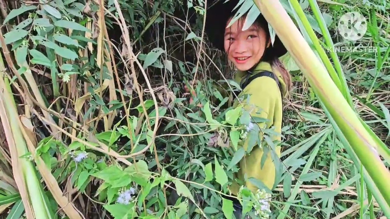 พบน้องน้อยอัจฉริยะผู้กตัญญูต่อพ่อแม่ข้างทาง 8 ธันวาคม ค.ศ. 2024