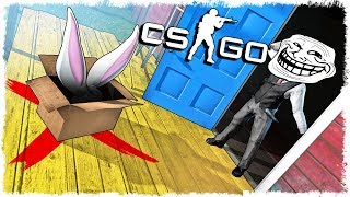 :   vs    CS:GO!!!