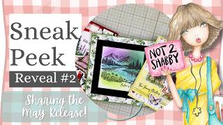 Reveal #2 Is Here! Summer in the Wild Box 🌿☀️🐻