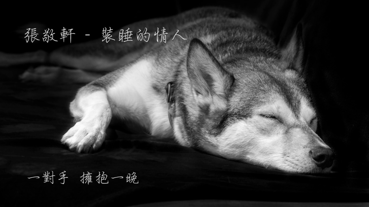  張敬軒 - 裝睡的情人(Cover by KLS)