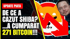 cum este piața bitcoin timp de înjumătățire bitcoin