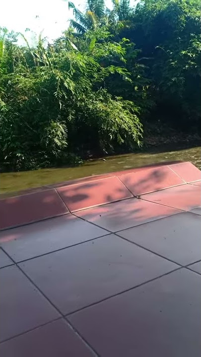 Story WA ngopi di pagi hari