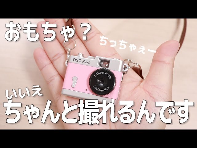 ちび×ぽん 000000004520-01-m.jpg?t=