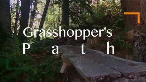 Welcome to Grasshopper