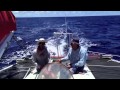 Glamour sailing from Fiji to Australia - 2012 -  Sailing Trimaran Spirit