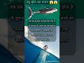 Blue whale calves grow 200 pounds per day for the first year they are alive #viral #shorts #youtube