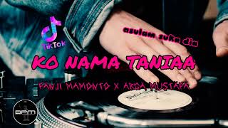 DJ VIRAL DISCO TANAH!!! - KO NAMA TANIA - ( FANJI MAMONTO X ARGA MUSTAFA
