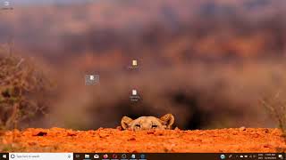 How to download SSD repository from GitHub