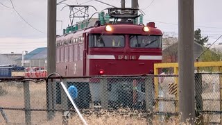 EF81 141 + E231系 #AT出場 【2022/11/07】 #ATゲート