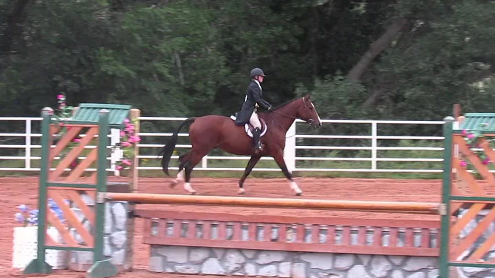 Susan Winston and Quite Nice Winning $2500 Nationa...