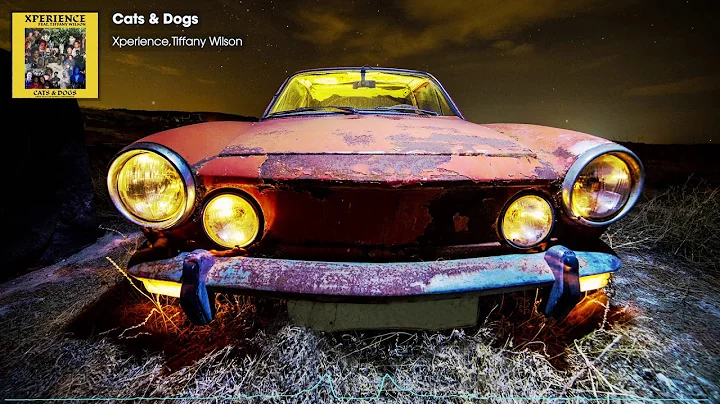 Xperience - Cats & Dogs Feat. Tiffany Wilson  (Pro...
