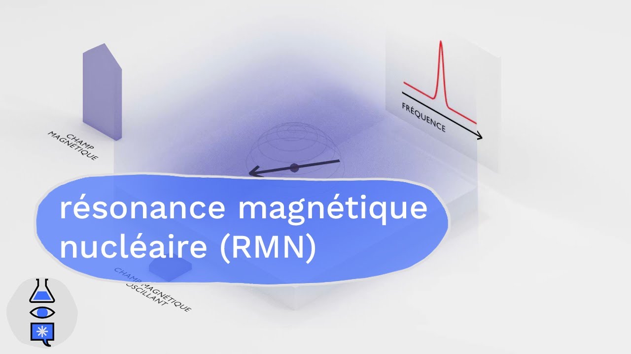 Animations sur le magntisme  Resonance Magntique Nuclaire RMN