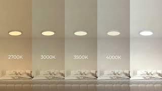 Builder Essential Round LED Round Flush Mount, E-FM-0124