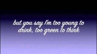 Skylar Grey Wear Me Out Lyric Video