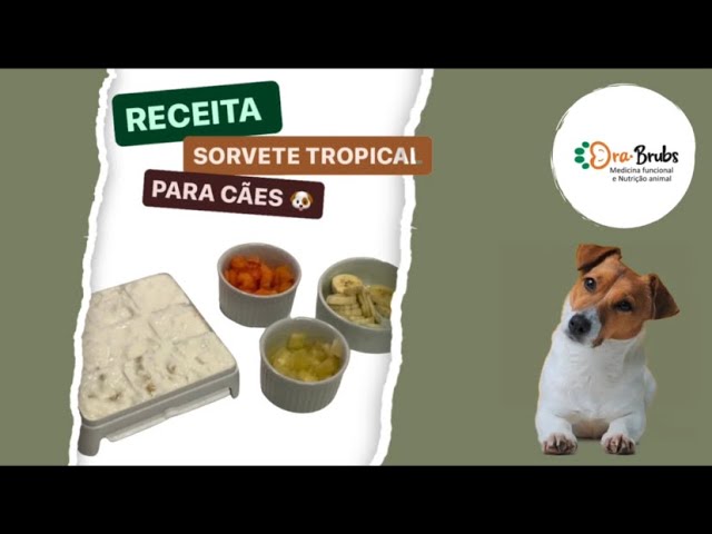 RECEITA SORVETE TROPICAL CÃES