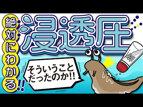 絶対にわかる浸透圧　～目に見えない不思議な力～