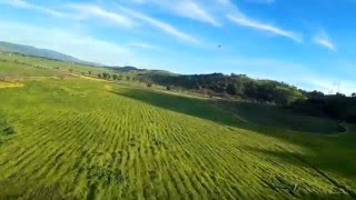 Chasing the fun cub pt 1